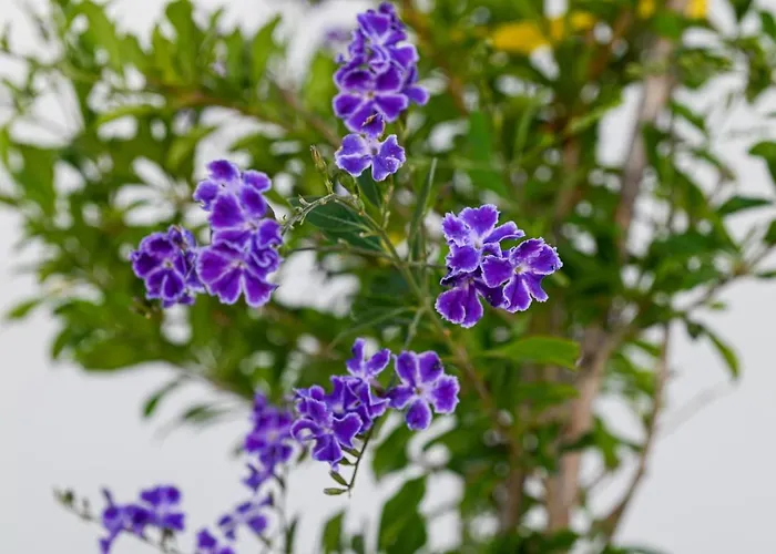 Апартаменты Mati Cave